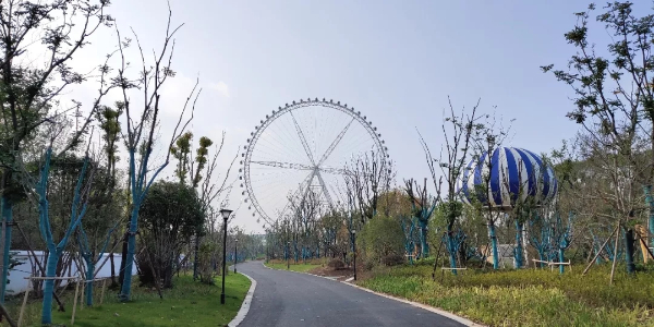 阜阳生态乐园团建场地