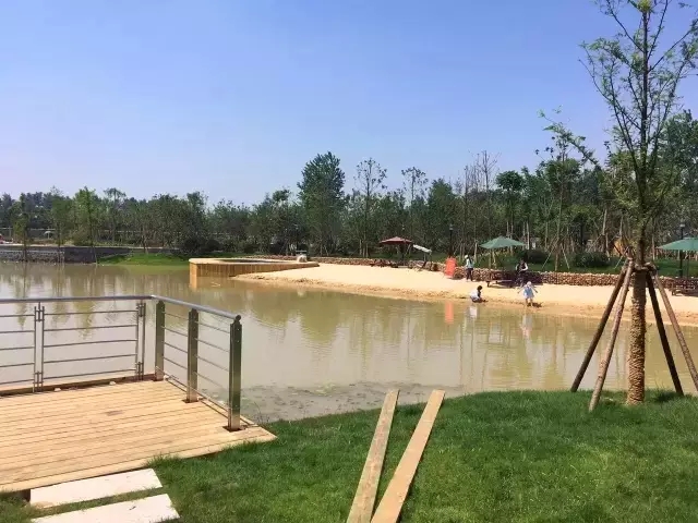阜阳太和沙颍河汽车露营地